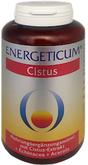 Cistus